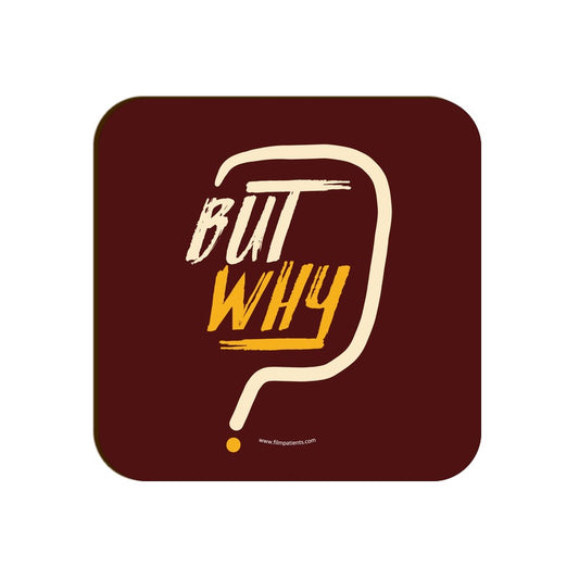 But Why Coaster
